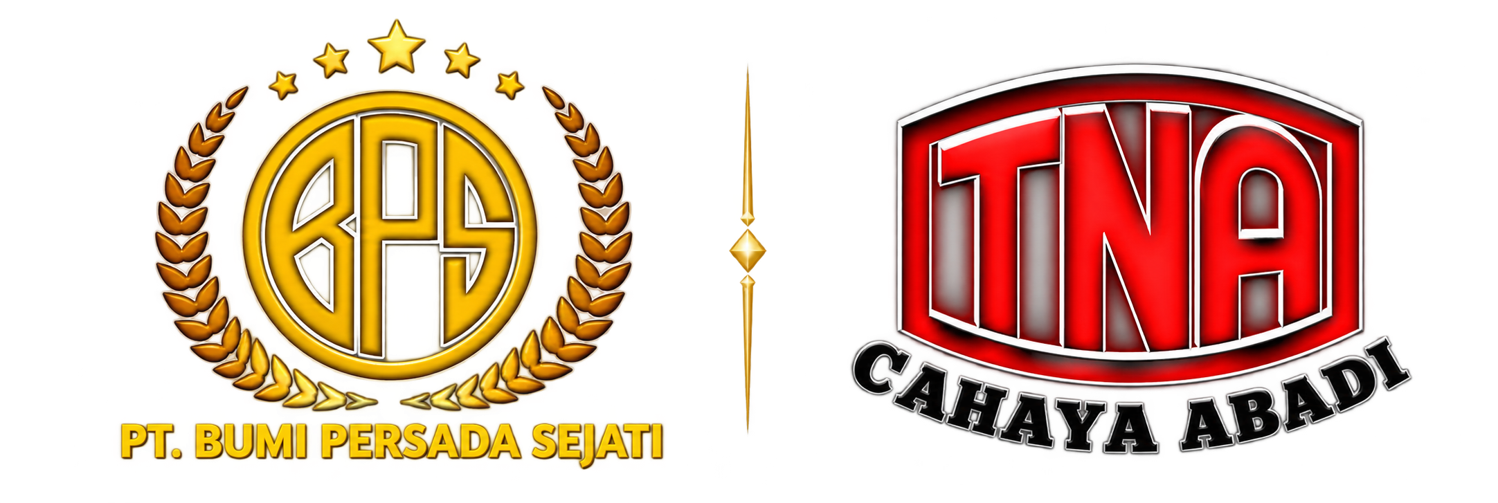 Logo BPS TNA